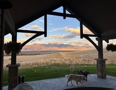 Views from the patio.